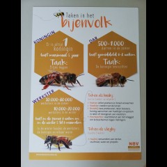 Posterset Honingbij (set van 2)